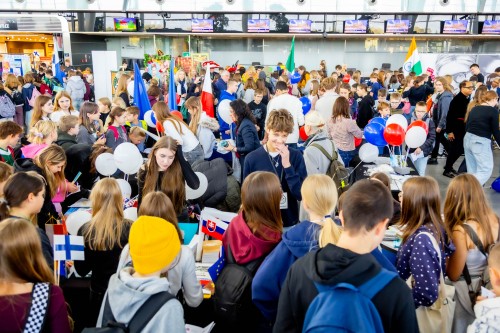 zobacz zdjęcie mkr_88981.jpg